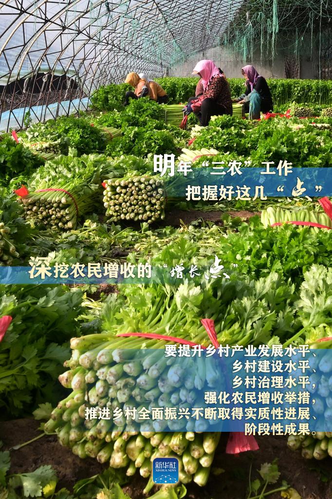 明年“三農(nóng)”工作，這幾個“點”要把握好