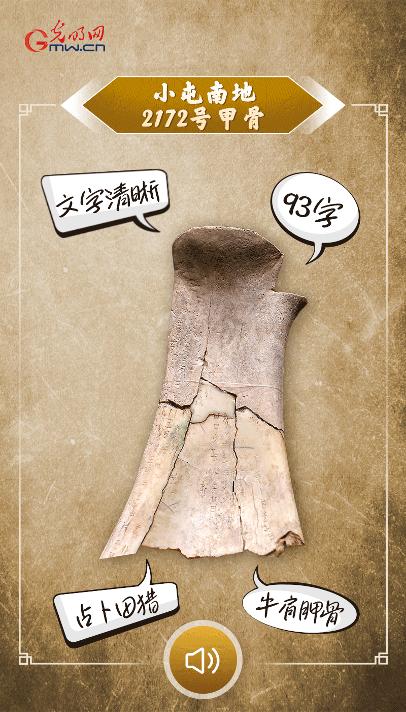 文物會(huì)說話 | 殷墟博物館新館開館啦，帶你奔赴“千年之約”