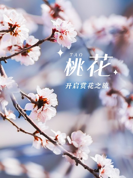 追花指南第三期！別等了 今天就去和桃花撞個滿懷