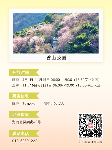 追花指南第六期！杏花雨 楊柳風(fēng) 北京最美的杏花在這里