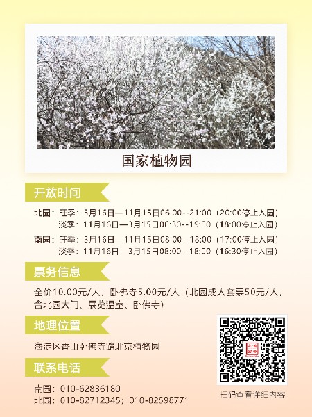 追花指南第六期！杏花雨 楊柳風(fēng) 北京最美的杏花在這里