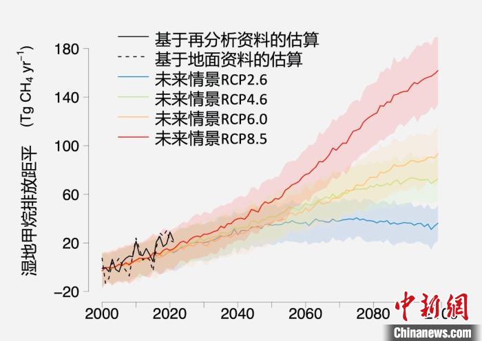 基于觀測的濕地甲烷排放變化與未來氣候變化情景下估算的對比?！≈锌圃呵嗖馗咴?供圖