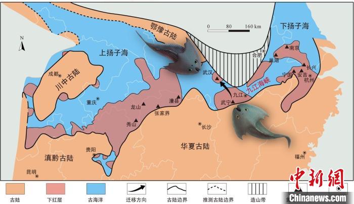 華南地區(qū)志留紀早期古地理圖和盔甲魚類化石產(chǎn)地(山顯任改自陳旭、戎嘉余，1996；戎嘉余等，2012) 中科院古脊椎所 供圖