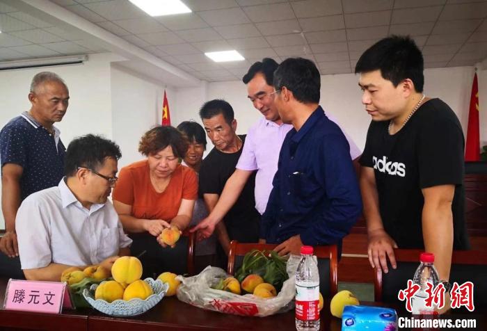 民進浙江省委會為三里橋黃桃種植戶送技術、送指導?！〖紊平y(tǒng)戰(zhàn) 供圖