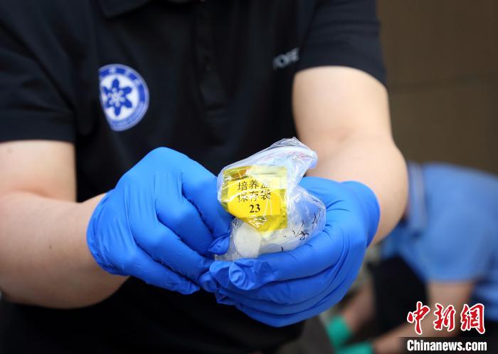 隨神舟十五號返回地面的空間科學實驗樣品?！≈锌圃嚎臻g應用中心 供圖