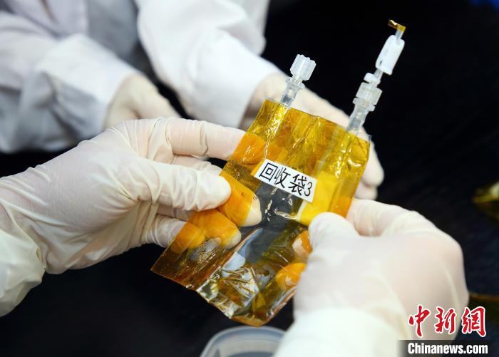 隨神舟十五號返回地面的空間科學實驗樣品?！≈锌圃嚎臻g應用中心 供圖