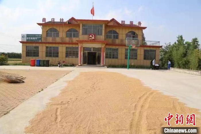 農(nóng)民在邳莊鎮(zhèn)尚莊村黨群服務(wù)中心大院里曬糧?！≠Z萌 攝