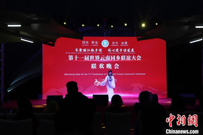 圖為第十一屆世界云南同鄉(xiāng)聯(lián)誼大會(huì)舉辦聯(lián)歡晚會(huì)?！〈抻澜?攝