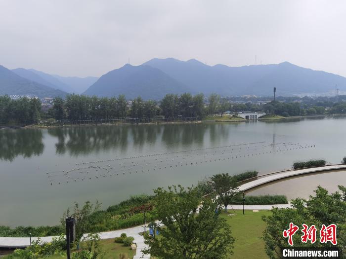 兩岸媒體共探杭州亞運(yùn)會(huì)“綠”在何處？