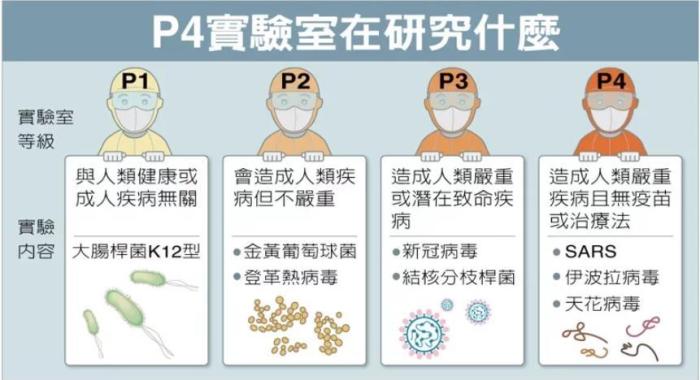 P4實驗室在研究什么。臺灣聯(lián)合新聞網(wǎng)資料圖