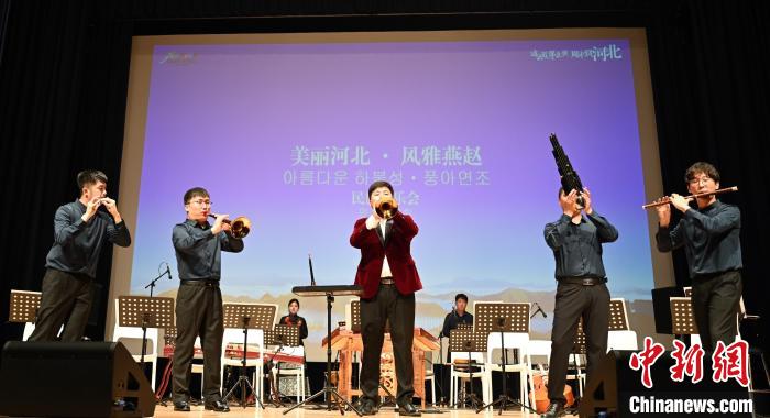 圖為音樂會(huì)現(xiàn)場(chǎng)?！∈谞栔袊?guó)文化中心供圖