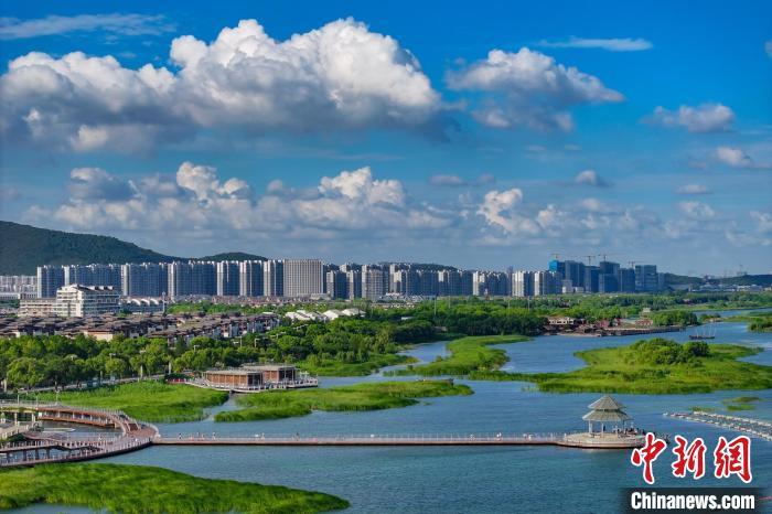 資料圖：航拍蘇州太湖湖濱國家濕地公園，藍(lán)天碧水生態(tài)美。 泱波 攝