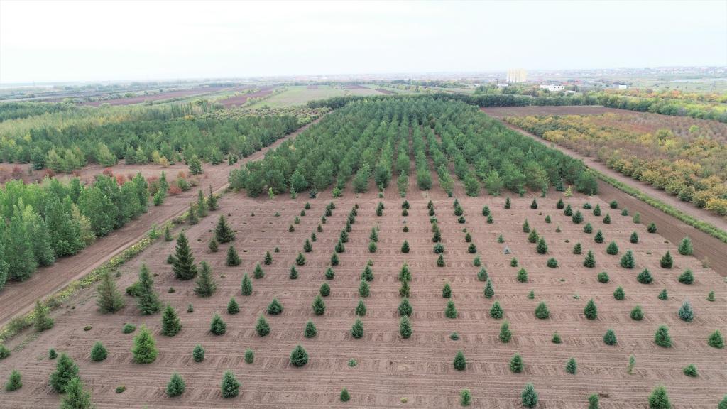 這是2023年9月11日在哈薩克斯坦首都阿斯塔納拍攝的一處植物種質資源苗圃（無人機照片）。新華社發(fā)（法爾哈特·圖克諾夫 攝）