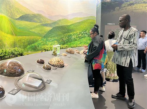   （在中國藥都中醫(yī)藥博物館，外媒記者了解中醫(yī)藥發(fā)展史。中國經(jīng)濟周刊記者 郭志強 攝）