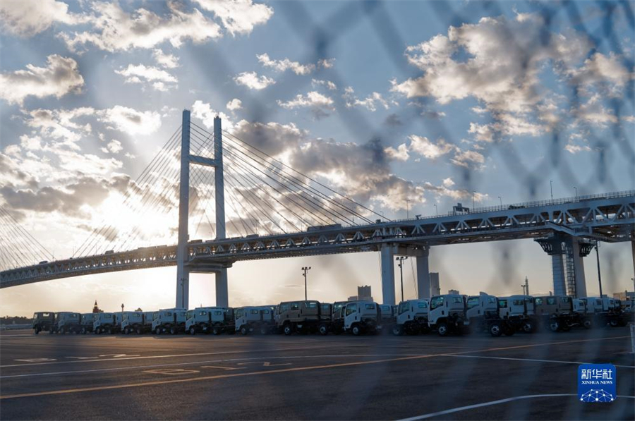 這是11月14日在日本橫濱拍攝的進出口汽車集散場地。新華社記者 張笑宇 攝