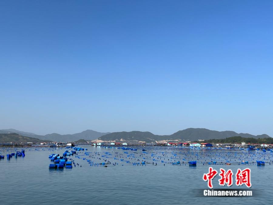 霞浦縣海上魚(yú)排。<a target='_blank' href='/' ><p  align=