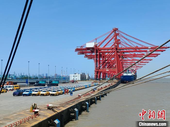 資料圖：國產(chǎn)新能源車在上海外高橋港區(qū)海通碼頭“整裝待發(fā)”?！∑址?攝