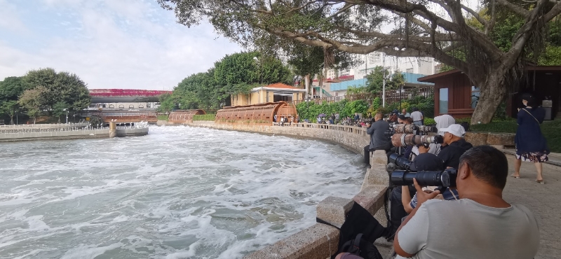 筼筜湖畔，許多攝影愛好者在拍攝白鷺。廈門市觀鳥協(xié)會(huì)彭志偉供圖