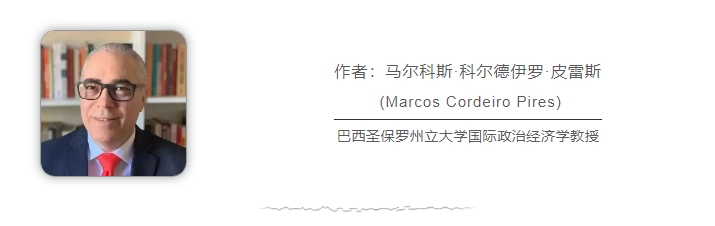 巴西學(xué)者：俄烏、巴以沖突再次暴露美西方“雙標”本質(zhì)