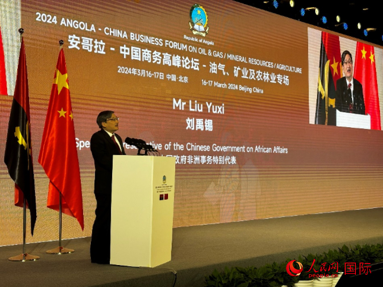 中國政府非洲事務(wù)特別代表劉禹錫。人民網(wǎng)記者 張榮攝