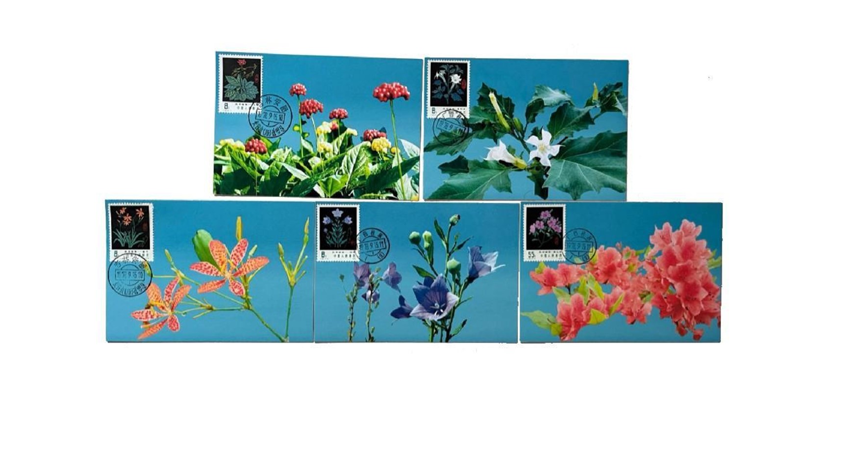 首套藥用植物極限片。第七屆阿聯(lián)酋集郵展主辦方供圖