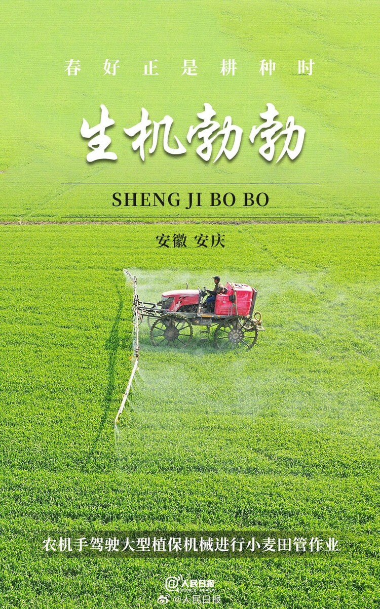 生機(jī)盎然！用課本封面打開春耕畫卷