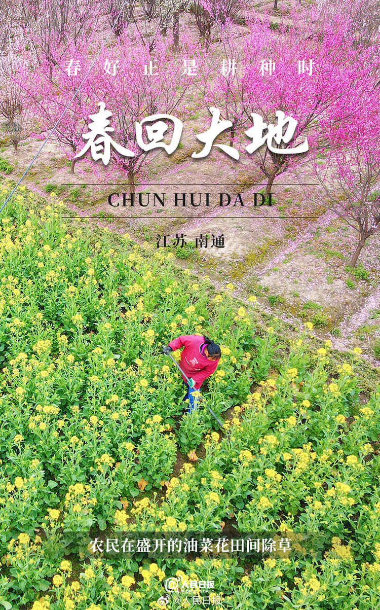 生機(jī)盎然！用課本封面打開春耕畫卷