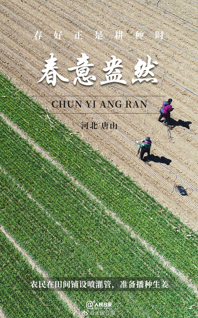 生機(jī)盎然！用課本封面打開春耕畫卷