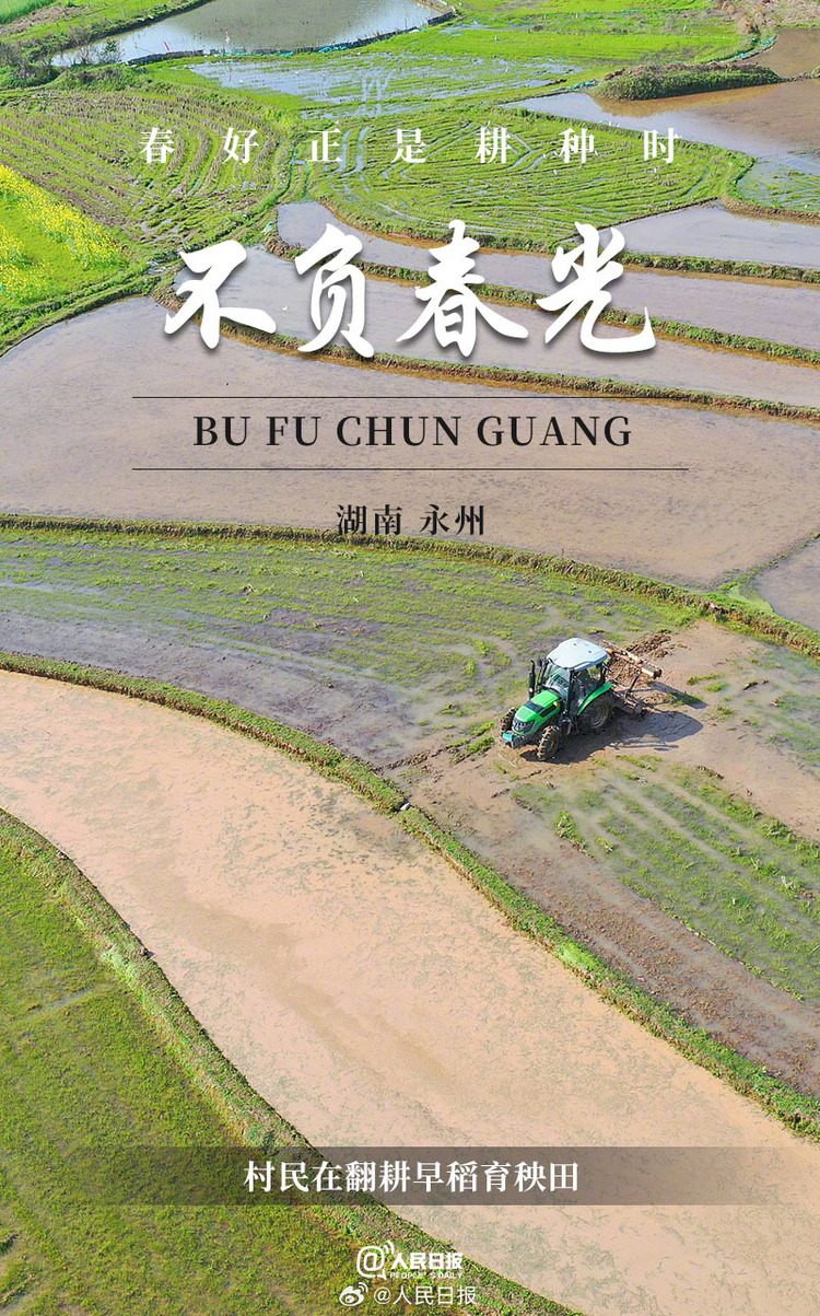 生機(jī)盎然！用課本封面打開春耕畫卷