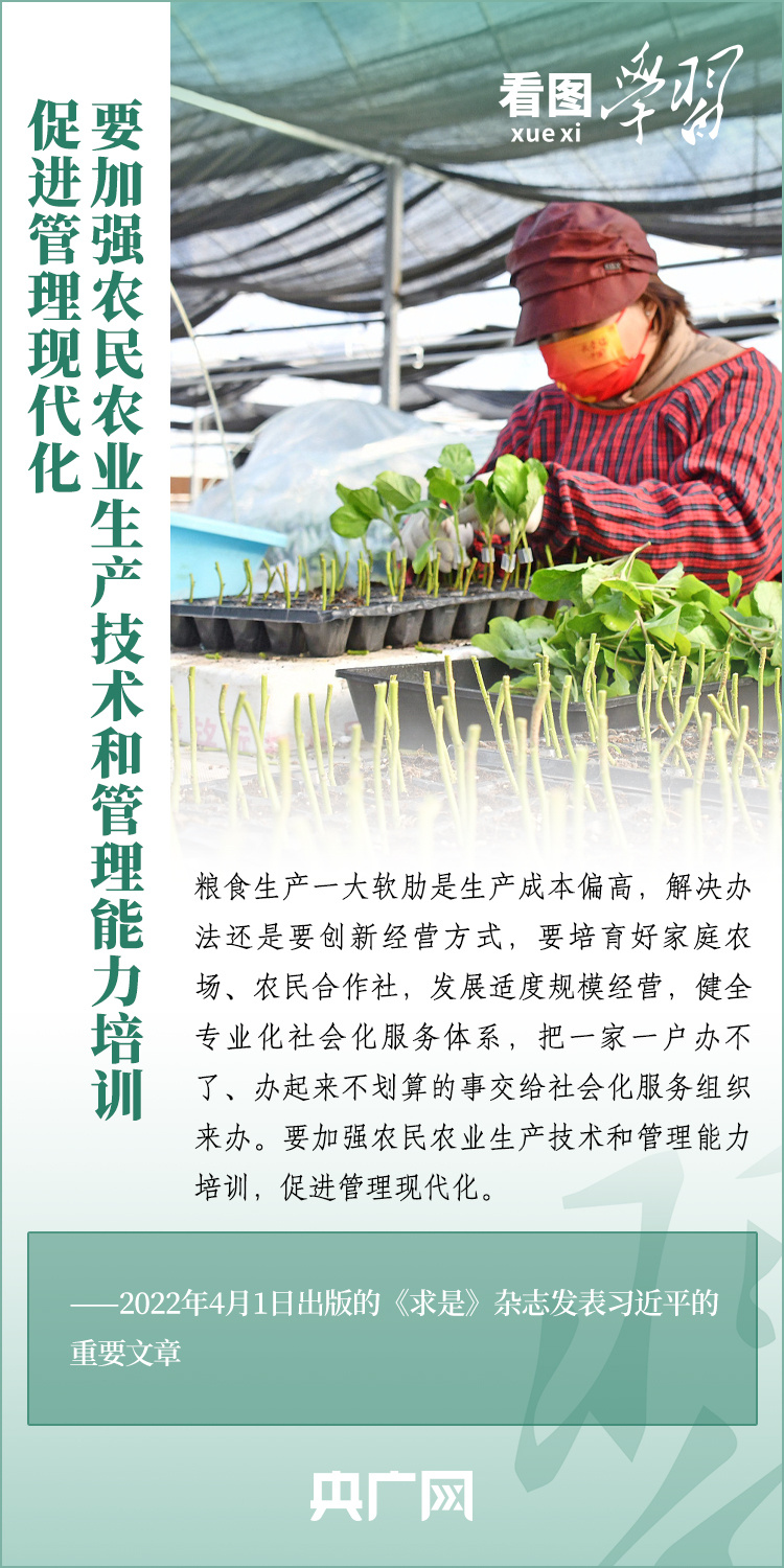 看圖學(xué)習(xí)丨推廣良田、良種、良法、良機(jī) 給農(nóng)業(yè)現(xiàn)代化插上科技的翅膀