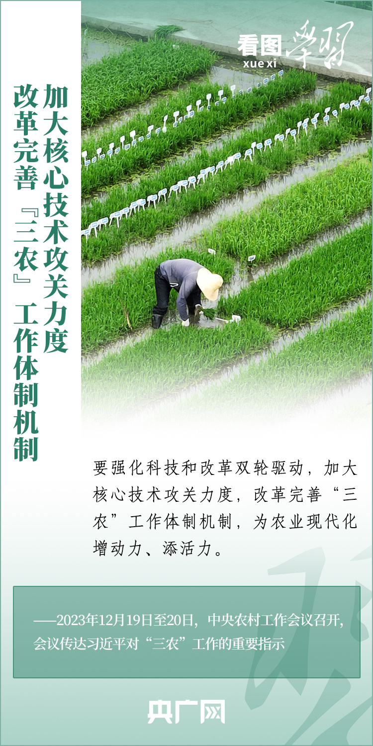 看圖學(xué)習(xí)丨推廣良田、良種、良法、良機(jī) 給農(nóng)業(yè)現(xiàn)代化插上科技的翅膀