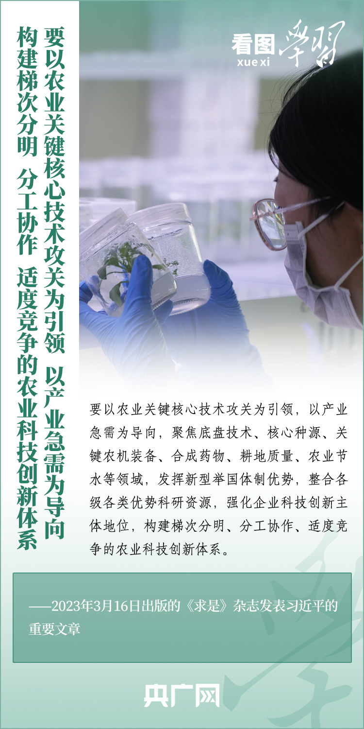 看圖學(xué)習(xí)丨推廣良田、良種、良法、良機(jī) 給農(nóng)業(yè)現(xiàn)代化插上科技的翅膀