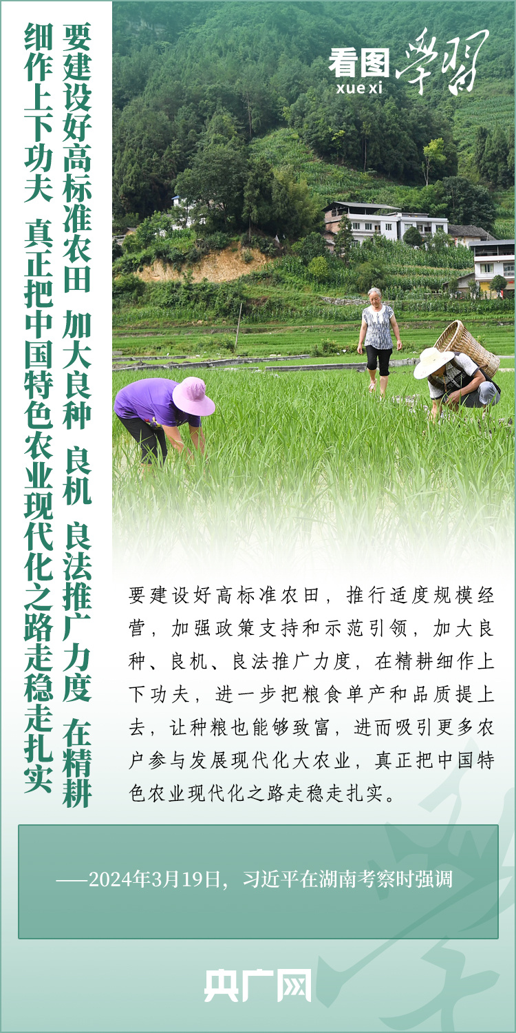 看圖學(xué)習(xí)丨推廣良田、良種、良法、良機(jī) 給農(nóng)業(yè)現(xiàn)代化插上科技的翅膀