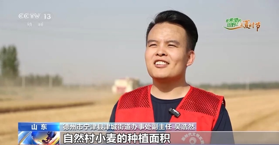 “三夏”生產(chǎn)思維導(dǎo)圖安排上了！還有政府大院等你來“曬”
