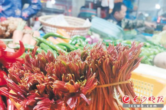 　　農(nóng)貿(mào)市場(chǎng)里鮮嫩的香椿。　　均為長(zhǎng)沙晚報(bào)全媒體記者 劉捷萍 攝