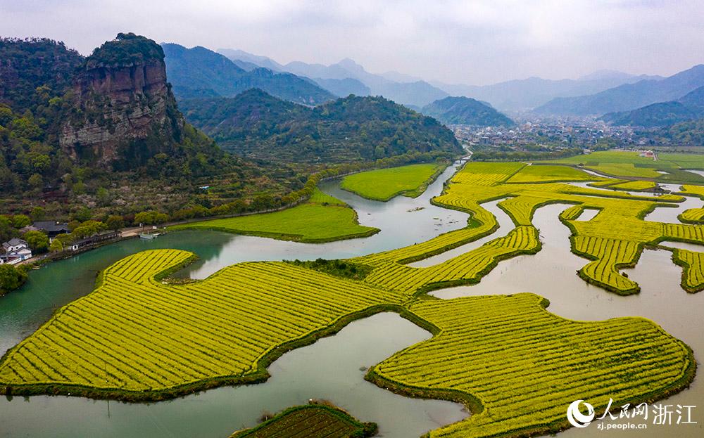 3月28日，航拍浙江省臨海市桃渚鎮(zhèn)桃江十三渚盛開的油菜花景色。人民網(wǎng) 章勇濤攝