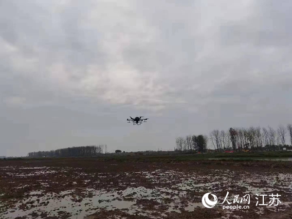 勝利圩高標(biāo)準(zhǔn)農(nóng)田進(jìn)行無人機(jī)水稻播種。陽江鎮(zhèn)供圖