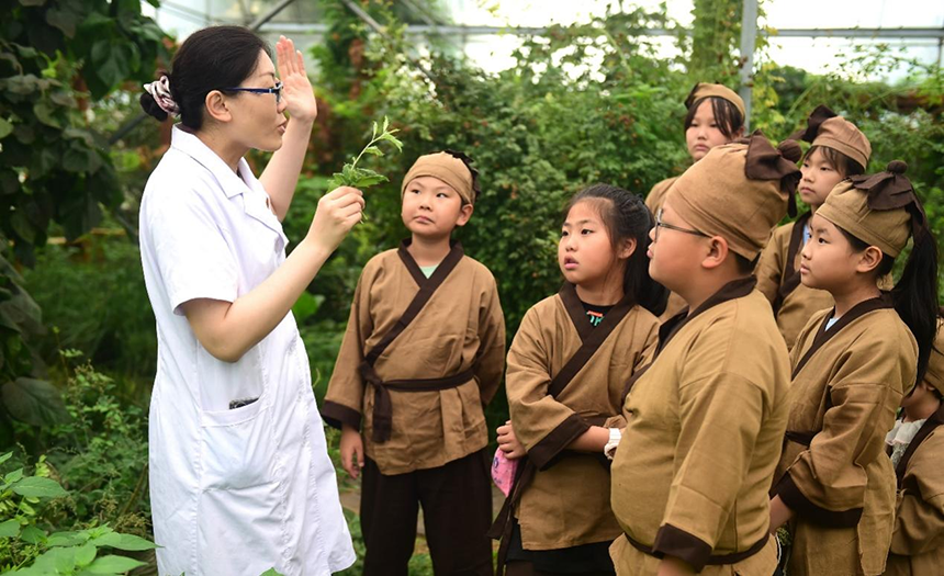 參加活動的孩子聆聽滄州市人民醫(yī)院國醫(yī)館中醫(yī)對中藥材的講解。 傅新春攝