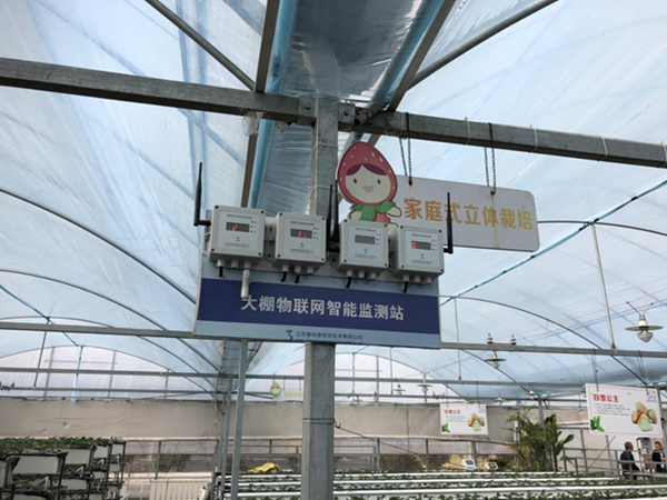 都市四季果園內(nèi)的物聯(lián)網(wǎng)智能監(jiān)測站系統(tǒng)。東?？h委宣傳部供圖