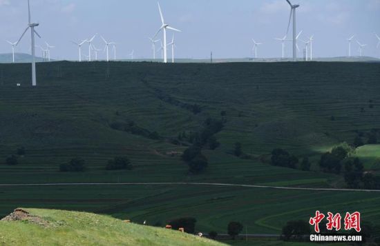 6月28日，河北張家口張北草原上大片風(fēng)力發(fā)電的“風(fēng)車”規(guī)模宏大。 中新社記者 楊艷敏 攝