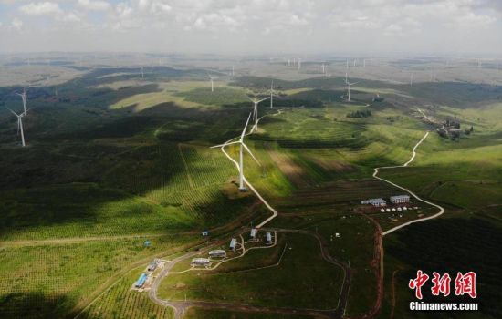 6月28日，河北張家口張北草原上大片風(fēng)力發(fā)電的“風(fēng)車”規(guī)模宏大。 中新社記者 楊艷敏 攝