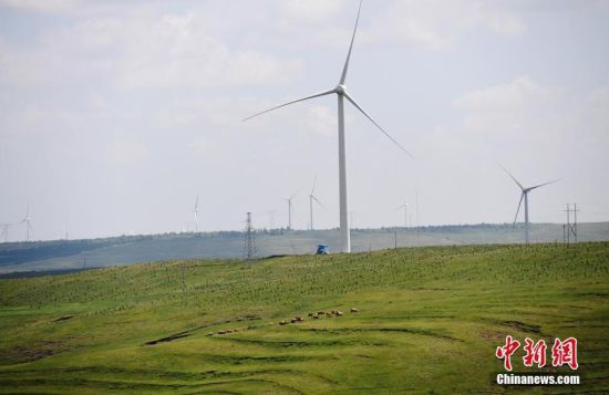 6月28日，河北張家口張北草原上大片風(fēng)力發(fā)電的“風(fēng)車”規(guī)模宏大。 中新社記者 楊艷敏 攝