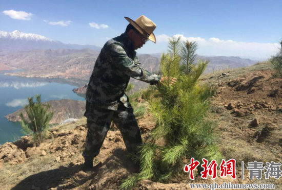 圖為尖扎干部職工生態(tài)建設(shè)和環(huán)境保護(hù)現(xiàn)場。尖宣 供圖