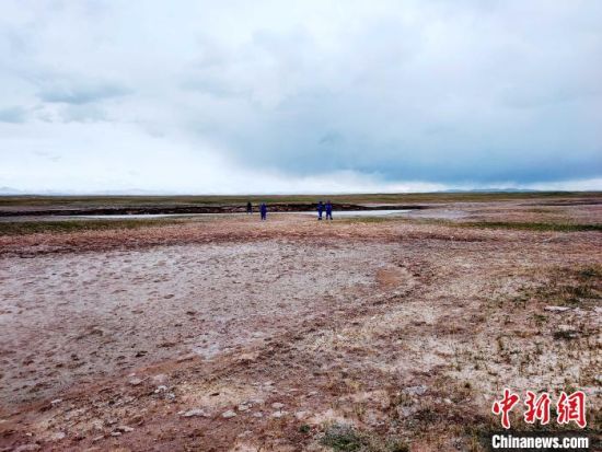 圖為救援力量在青海省西部搜救失聯(lián)的江蘇南京某大學女生黃某某。海西州藍天應(yīng)急救援中心 供圖