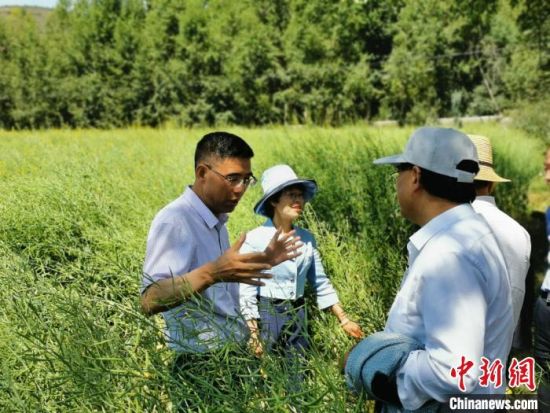 圖為九三學社青海省委主委杜德志(左一)在基層調(diào)研。受訪者供圖