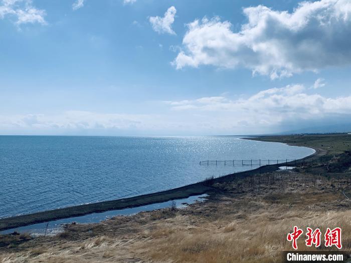 圖為青海湖畔。(資料圖) 張傲 攝