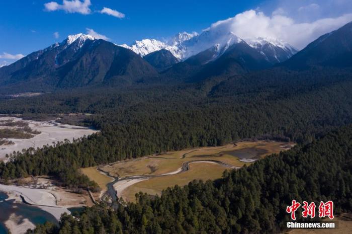 資料圖：西藏崗云杉林與遠處的雪峰。 何蓬磊 攝