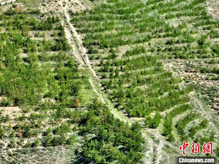 航拍建行青海省分行綠化區(qū)?！∑钤鲚?攝