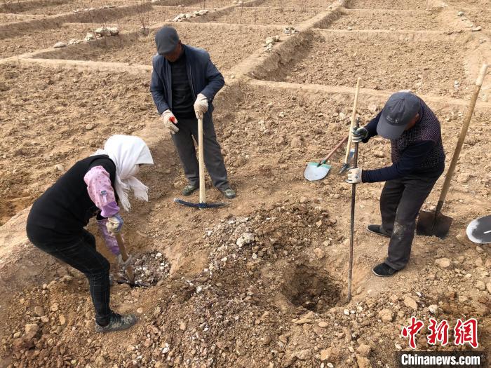 資料圖為建行青海省分行綠化區(qū)施工隊(duì)隊(duì)員處理亂石?！〗ㄐ星嗪Ｊ》中泄﹫D