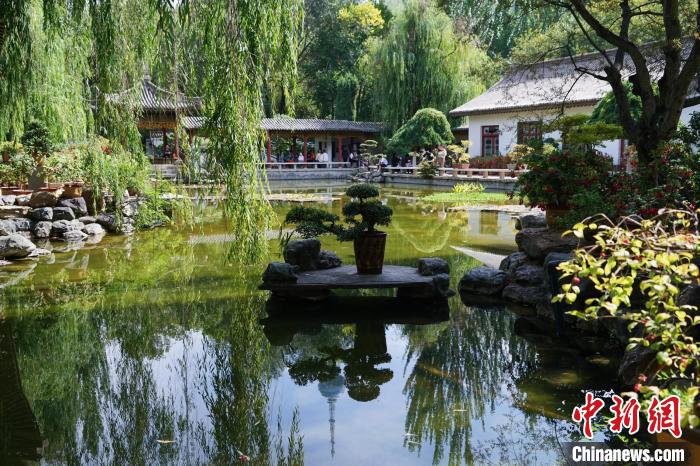 圖為西寧園林植物園秋日風(fēng)景別有韻味?！●R銘言 攝